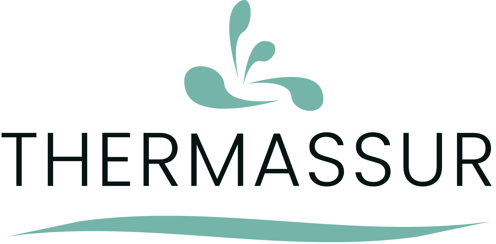 logo-thermasur-transparent